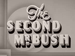 The Second Mr. Bush (1940) starring Derrick De Marney on DVD on DVD